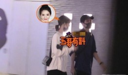 娱乐爆料金晨是谁啊,娱乐爆料中的璀璨新星